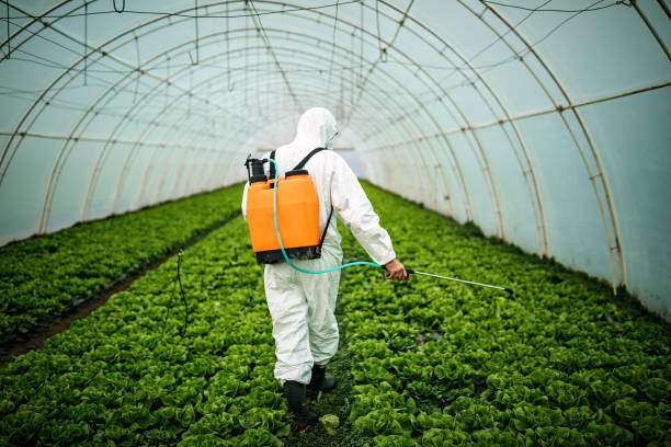 Best Pest Inspection Near Me  in York, NE
