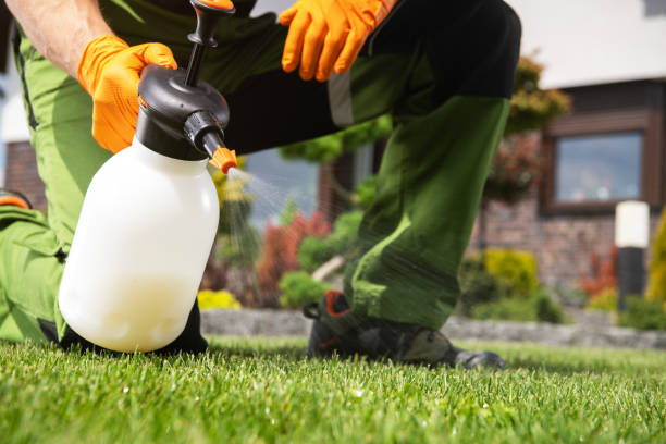 Best Bed Bug Extermination  in York, NE