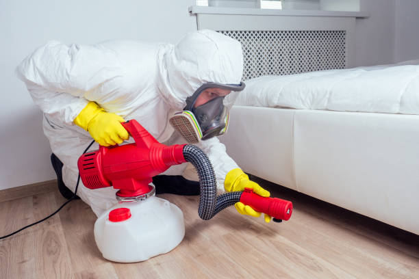 Professional Pest Control in York, NE